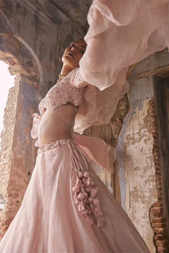 Organza Lehenga