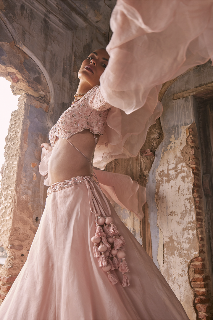 Organza Lehenga