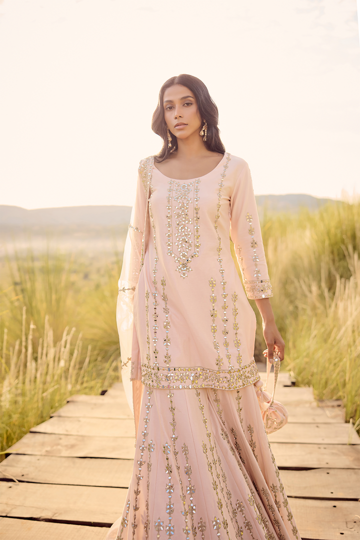 PINK HEAVY LINE SHARARA