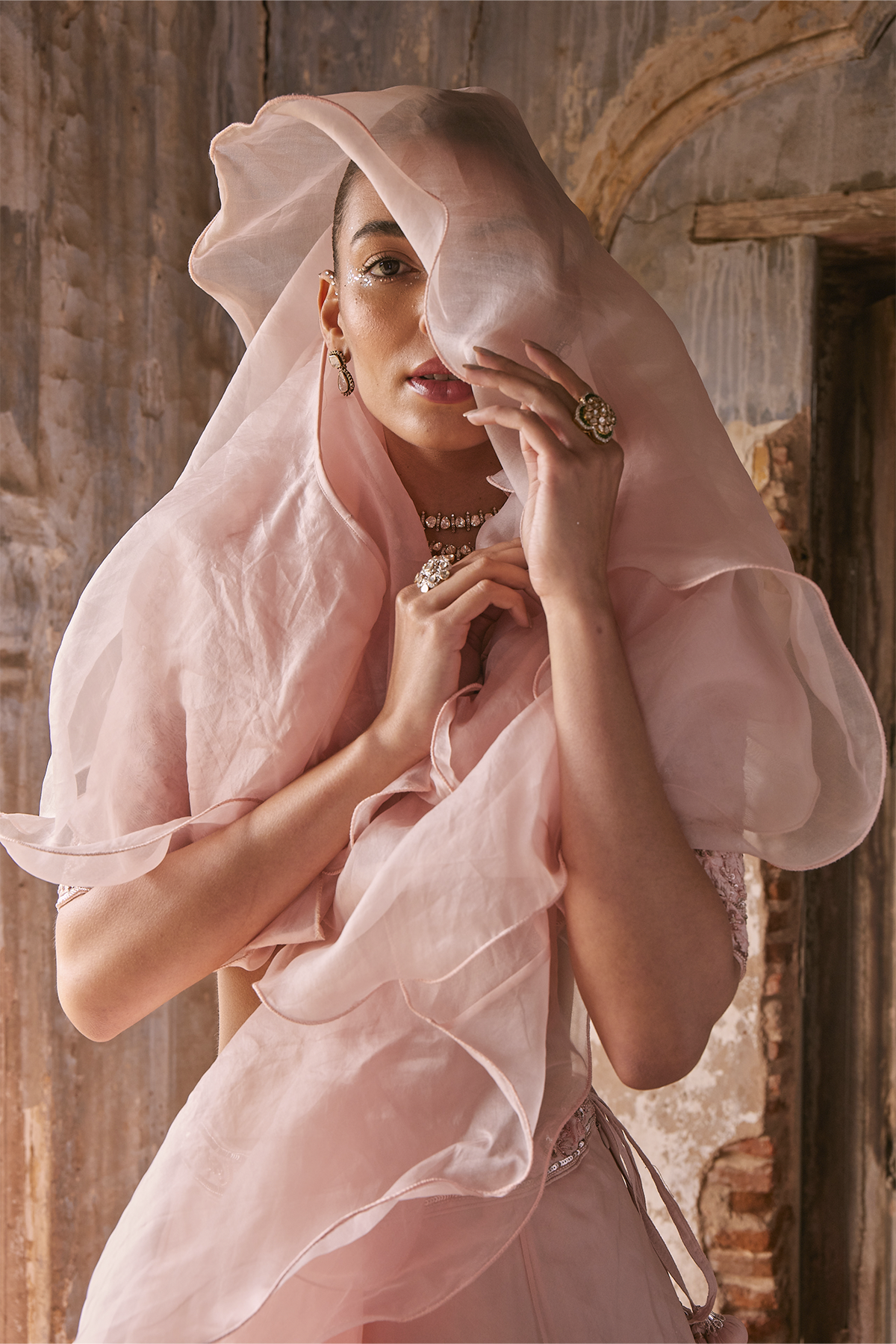Organza Lehenga